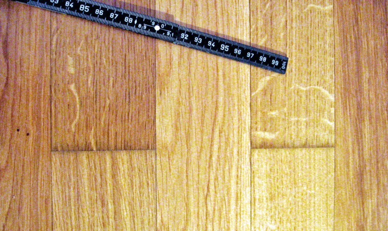 Schaden bei einem ungenutzten Schwimmbecken - Deutsche BauZeitschrift