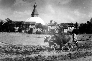  Foto von der Stupa in Bodnath, welches um ca. 1900 entstanden sein dürfte 