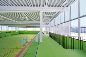  Sporthalle Neumatt, Stengelbach, Evolution-Design, Zürich 