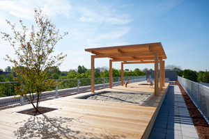  Die Dachterrasse ist für alle Bewohner da mit einer Spielfläche für Kinder und Holzdecks mit Beeten, die sie selbst bepflanzen können 