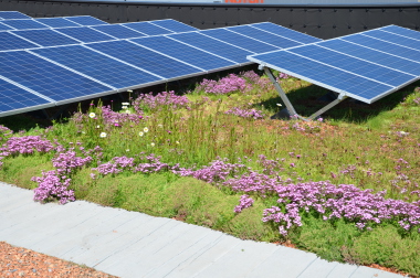 Bauder Solar Unterkonstruktion für Gründächer