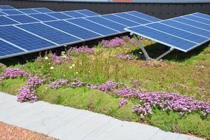  Bauder Solar Unterkonstruktion für Gründächer 