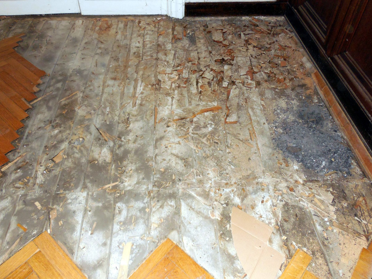 Verdeckter Schaden Holz Zerstorende Pilze In Deckenkonstruktionen Deutsche Bauzeitschrift