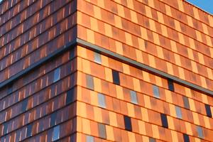  Fassadenziegel Standard-Glatt G10 mit Solarziegel G10 PV von Nelskamp 