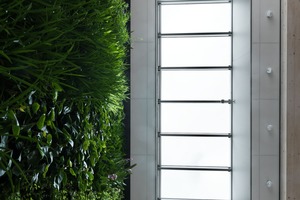  Natürliches Licht und natürliches Grün: Zwei Pfeiler der nachhaltigen Büroumgebung bei Geelen Counterflow  