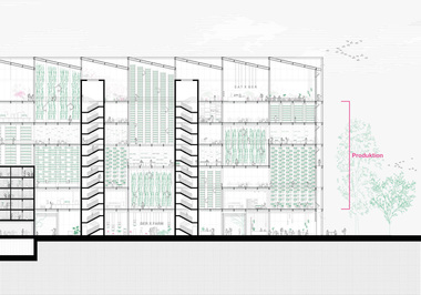  Lenya Schneehage und Rebekka Wandt (Sonderpreis), Leibniz Universität Hannover, Projekt „Farm X Berlin“, Schnitt durch die Produktion 