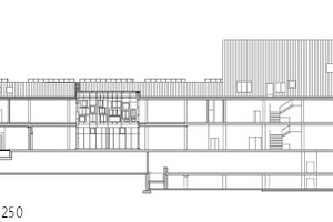  Querschnitt M 1 : 1 250 
