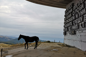  Wildpferd vor dem Buzludzha-Monument 