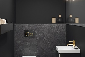  Ein besonderer Blickfang für Bad und WC: Die Betätigungsplatte Sigma21 von Geberit in der Ausführung Glas schwarz mit Designringen in Messing. 