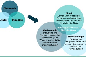  Nutzung des Wissens über die Natur mit den drei Dimensionen der Nachhaltigkeit 