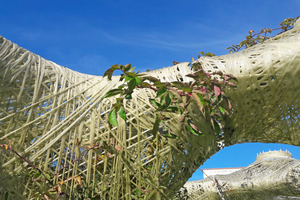  Baubotaniker Prof. Ferdinand Ludwig verbindet in seinem Forschungsprojekt Urban Micro Climate Canopy die Wachstumsmuster lebender Pflanzen und computergestützte Entwurfsverfahren  