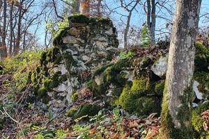  Stein oder Mauerüberrest? Manchmal gar nicht so leicht zu erkennen. Hier handelt es sich aber eindeutig um die Überreste der Burg Hohengenkingen 