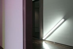  Aus für die Lichtröhren, aus für die Kunst? Dan Flavins „Diagonale“ in der Biefelder Kunsthalle 2013 