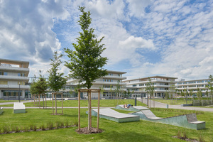 Grund- und Förderschule, Realschule und Gymnasium, die Campusmitte mit Mensa, Bibliothek und Doppelsporthalle gruppieren sich um eine grüne parkähnliche Mitte 
