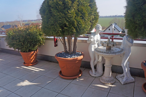  Bild 1: Mehr als 100 kg schwere Blumenkübel auf einer Dachterrasse 