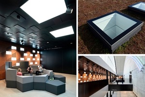 VELUX Modular Rooflights sorgen durch punktuelle Belichtung mit Monolights im Sportbau K.B. Hallen in Dänemark immer für die richtige Menge Licht. 