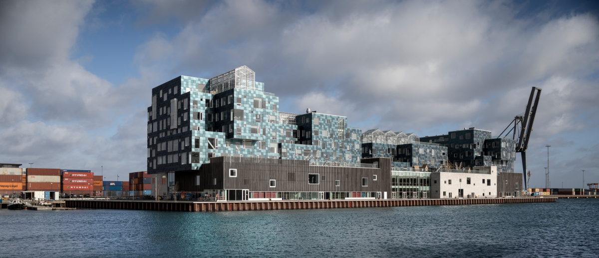 Copenhagen-School-C.F.-Moller-Adam-Moerk