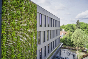  Die begrünte Fassade des Drees &amp; Sommer-Neubaus OWP 12 in Stuttgart filtert Schadstoffe, dämmt den Straßenlärm und wirkt sich positiv auf das Mikroklima und die Artenvielfalt aus  