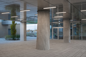  Der Schulbaum, der als Kunst am Bau an einer Schule vom Architekturbüro deffner voitländer zum Tragen kam, steht statisch gleichberechtigt neben den konventionellen Stützen und zeigt, welcher Detailgrad im Beton erreicht werden kann 