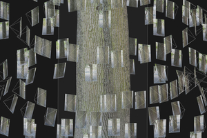  Im Gegensatz zu einem 3D-Scan wird bei der Photogrammetrie mit Einzelbildern gearbeitet, die digital in Relation zueinander gebracht werden und so eine dreidimensionale Wiedergabe des aufgenommenen Objektes erlauben 