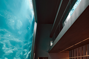  Im Großaquarium: rechts die Ränge (drei Ebenen) für die Zuschauer, geradeaus der Zugang zur Aquariumlandschaft in Bestand und Neubau 