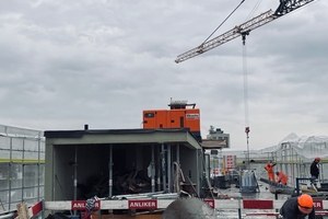  Für die Belichtung der beiden Wohneinheiten im Dachgeschoss der Weststraße, wurden nachträglich runde Dachauschnitte für die später begrünten Patios eingebracht 