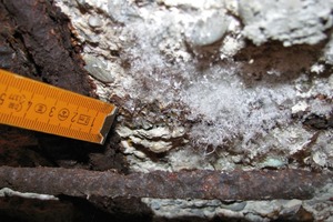  Bild 7: Salzausblühungen auf dem Beton 