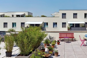  Die Penthouse- und Maisonettewohnungen ohne Zugang zum Gemeinschaftsgarten verfügen über großzügige Dachterrassen 