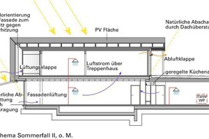  Schema Sommerfall, o.M. 