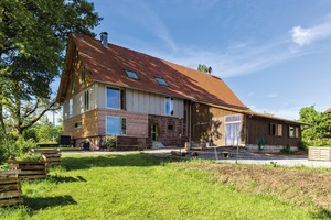  Blick in den „wilden“ Garten im Norden des Eindachhofs 