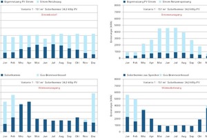  Abb. 3: Monatliche Endenergiebilanzen Variante 1, Mehrfamilienhaus Neubau (100 % EE) 