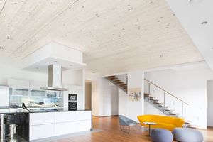  BSH-Decken best wood Schneider 