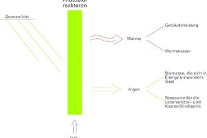  Angestoßen durch das Sonnenlicht, erzeugen die Photobioreaktoren Biomasse und Wärme 