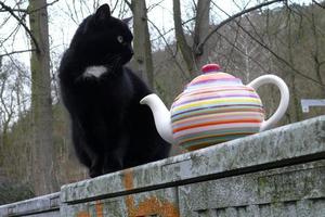  Katze mit Teekanne, Franziska Haldrich 
