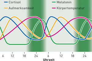  Der circadiane Rhythmus des Menschen wird stark durch das Licht beeinflusst. Ebenfalls vom Licht abhängig ist die Produktion des sog. Schlafhormons Melatonin und des Stresshormons Cortisol 