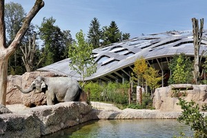  Die Anlage wird als durchgängigen Landschaftsraum verstanden. Das Elefantenhaus ist eine 5 5 00 m² große Halle, die in diesem Fall das Naturerlebnis zu steigern versteht 