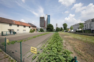  Großstadtperipherie: Siedlungsbau, Subsistenzflächen, Medienhäuser ... 