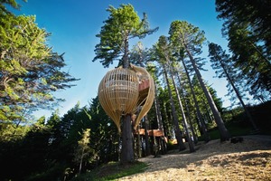  Das Treehouse befindet sich 10 m über dem Boden 