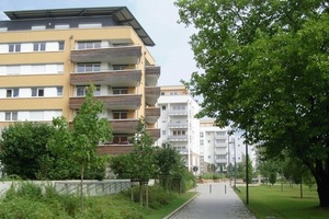  Park und Alleen finden sich direkt vor der Haustür und gleichzeitig ist die Stadtnähe gewährleistet 