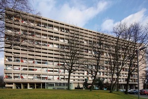  Während der Renovierung entdeckten die Architektin und der Bauherr das original DLW Linoleum Uni Walton. Auf dem dunkelgrünen Bodenbelag basiert die Farbgestaltung der Wohnung. In der Küche und dem Flur ist nun das DLW Linoleum Uni Walton im Farbton midnight blue zu finden 