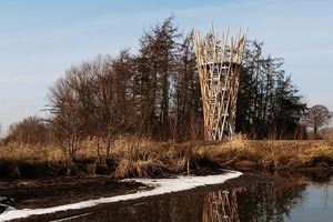  Aussichtsturm Linteler Weiden 