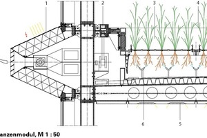  Pflanzenmodul, M 1 : 50 