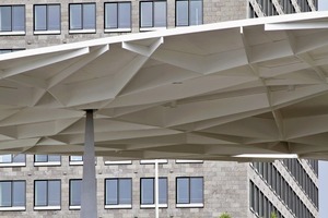  Wilde Kraftlinenflüsse vor strengem Fassadenraster (IBC, Bauteil C, Köhler Architekten) 