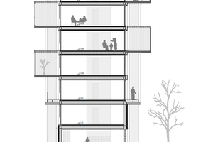  Mit einer Spannweite von 12m erlauben die Deckenelemente flexible Grundrisse und freie Anordnung der Wandscheiben 