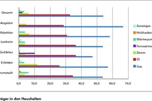  Prozentualer Anteil der Energieträger in den Riedstädter Haushalten aus der Fragebogenaktion. Bei „keine Angaben“ wurde der Stadtteil nicht angegeben 