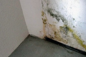  An der einbindenden Wand wurde die Wärmebrücke zwar mit einer Keilplatte entschärft, die Breite war jedoch nicht ausreichend 