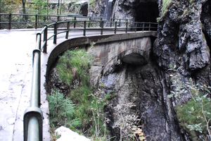  Schaufelschluchtbrücke BestandDie Schaufeschluchtbrücke wies von den drei untersuchten Brücken noch den besten Zustand auf. Sie hätte also nicht kurzfristig instandgesetzt oder erneuert werden müssen, dennoch entschied man sich dies in Angriff zu nehmen, denn man konnte am Verlauf des Schadensbildes annehmen, dass sich ihr baulicher Zustand in den kommenden 3-6 Jahren erheblich verschlechtern würde und eine Sanierung nicht mehr wirtschaftlich wäre 