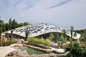  Das Elefantenhaus im Zürcher Zoo sollte laut Raumprogramm einen Innenbereich von 6 000 m² haben, mit einer Höhe von 18 m. Eine weitere Vorgabe war, dass es in Einklang mit der Natur, ja fast unsichtbar, sein soll 