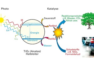  Bild zu Kasten 1 